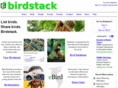 birdstack.com