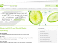 electriclemonade.com