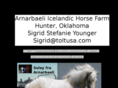 icelandichorses.org