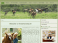 nhza.com