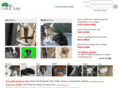 zooflog.com