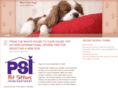 nfdog.com