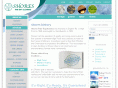 shorescleaners.com