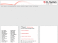 flamingit.com