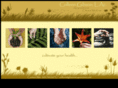 gibsonacupuncture.com