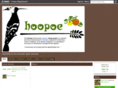 hoopoe.org