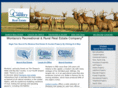 montanareal-estate.com