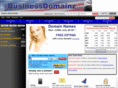 businessdomainz.com