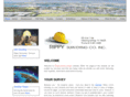 rippyco.com