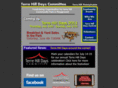 terrehilldays.com