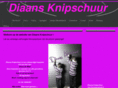 diaansknipschuur.com