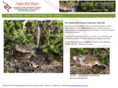 globalbirdphotos.com