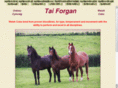 taiforgan.com