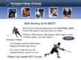 bantamaaahockey.com