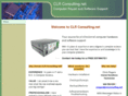 clrconsulting.net