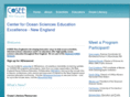 cosee-ne.net