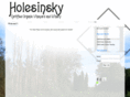 holesinsky.com