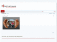 justfocuspc.com