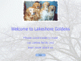 lakeshoregoldens.com