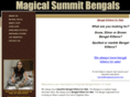 magicalsummit.com