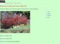 mtnwmin.net