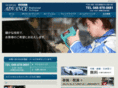 e-advance.info