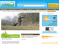 fdc80.com