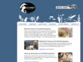 ecoworldnz.co.nz