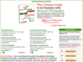 mexicobizguide.com