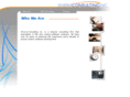 shieraconsulting.com