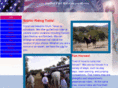 texastrailridingco.com