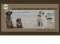 elladish.com