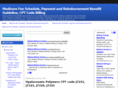 medicarepaymentandreimbursement.com