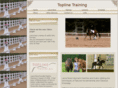 toplinenc.com