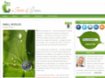 atasteofgreen.com