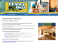 chaneyboyshandymanservice.net