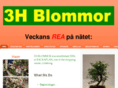 3h-blommor.com