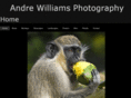 andrewilliamsphotography.net