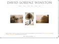 davidlorenzwinston.com