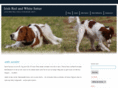 red-white-setter.de