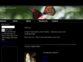 sierravistastudios.com