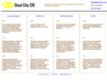 steelcitycio.com