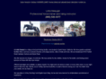 alottehorses.com