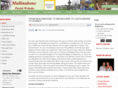mullinahone-parish.com