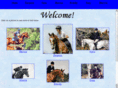 taylorhorses.com