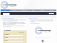thebusinessbridge.org