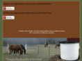 dmafencing.com