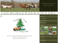 dragonflypines.com