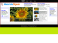 materialsdigest.com
