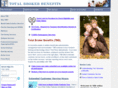 bssidemo.com